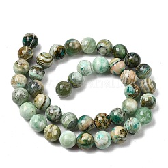 Natural Green Line Jasper  Beads Strands&nbsp;X-G-L639-A01-6mm