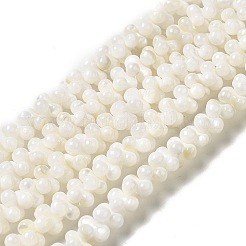 Natural Freshwater Shell Beads Strands&nbsp;BSHE-E026-17