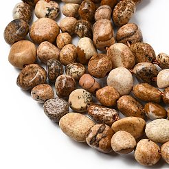 Natural Picture Jasper Beads Strands&nbsp;G-B161-A04