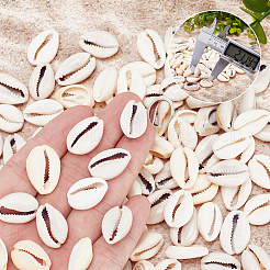 200G 2 Colors Natural Cowrie Shell Beads&nbsp;BSHE-AR0001-04