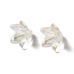 Transparent Acrylic Bead Caps&nbsp;X-OACR-H016-05
