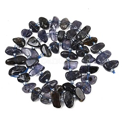 Natural Iolite Beads Strands&nbsp;G-L657-E04-01