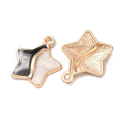 Alloy Enamel Pendants&nbsp;FIND-K030-02A-G
