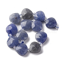 Natural Blue Aventurine(Dyed & Heated) Beads Strands&nbsp;G-P570-E08-02