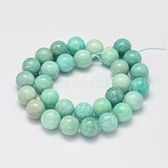 Natural Amazonite Beads Strands&nbsp;G-K068-03-12mm