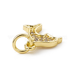 Brass Micro Pave Cubic Zirconia Charms&nbsp;ZIRC-F132-47G