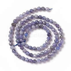 Natural Tanzanite Beads Strands&nbsp;G-F717-17B