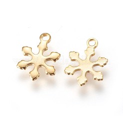 304 Stainless Steel Charms&nbsp;X-STAS-E447-10G