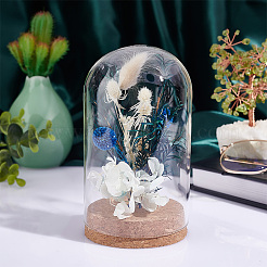 Glass Dome Cover&nbsp;AJEW-PH0004-19C