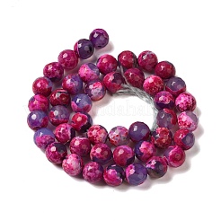 Dyed & Heated Natural Fire Crackle Agate Beads Strands&nbsp;G-P539-C01-04