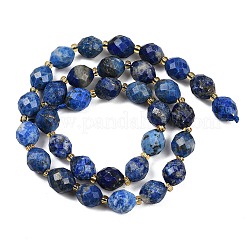 Natural Lapis Lazuli Beads Strands&nbsp;G-N342-149I-06