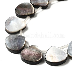Natural Black Lip Shell Beads Strands&nbsp;BSHE-D300-08