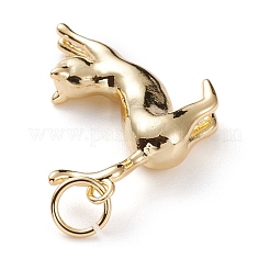 Brass Pendants&nbsp;KK-C100-25G
