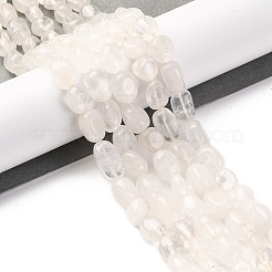 Natural Quartz Crystal Beads Strands&nbsp;G-G146-A29-01