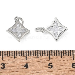 SHEGRACE Brass Clear Cubic Zirconia Pendants&nbsp;XGRQ3K394-522P