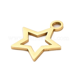 304 Stainless Steel Pendants&nbsp;STAS-M117-01C-G