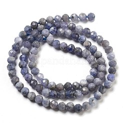 Natural Tanzanite Beads Strands&nbsp;G-G161-A14-03