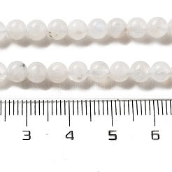 Round Grade A Natural Rainbow Moonstone Bead Strands&nbsp;G-M304-06-5mm