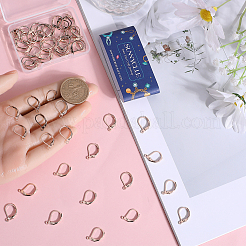 60Pcs 304 Stainless Steel Leverback Earring Findings&nbsp;STAS-SC0006-44