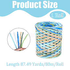 6 Colors Raffia Paper Cords&nbsp;OCOR-WH0063-110D