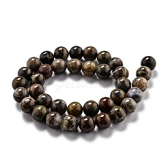 Round Natural Ocean Agate/Ocean Jasper Beads Strands&nbsp;G-O199-02C