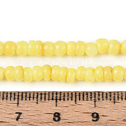 Natural Freshwater Shell Dyed Beads Strands&nbsp;SHEL-T020-29A-09