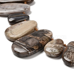 Natural Petrified Wood Beads Strands&nbsp;G-C253-06