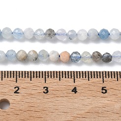 Natural Aquamarine Beads Strands&nbsp;G-L651-C09-4mm