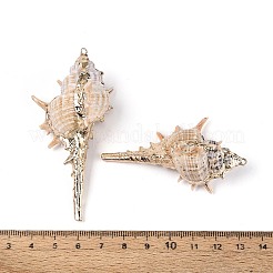 Electroplate Natural Sea Shell Big Pendants&nbsp;SSHEL-T018-10