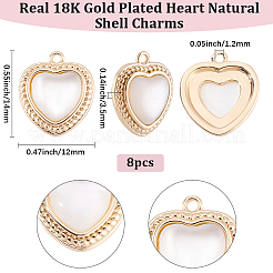 8Pcs Natural Shell Heart Charms&nbsp;KK-BBC0024-09