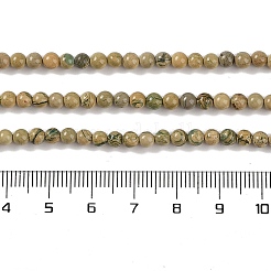 Natural Verdite Stone Beads Strands&nbsp;G-P530-B07-01