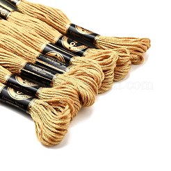 Polyester Embroidery Floss&nbsp;OCOR-TAC0013-10A-112