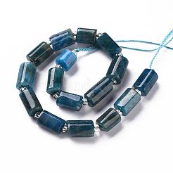 Natural Apatite Beads Strands&nbsp;X-G-S345-8x11-003