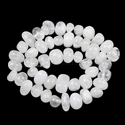 Natural Quartz Crystal Beads Strands&nbsp;GG-CBACF26-A01-01