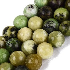 Natural Serpentine Beads Strands&nbsp;G-Q616-07D