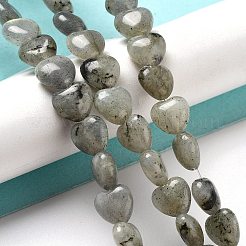 Natural Labradorite Beads Strands&nbsp;G-P528-C05-01
