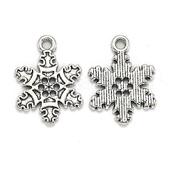 Tibetan Style Alloy Pendants&nbsp;TIBEP-MSMC013-M