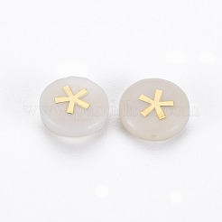 Natural Freshwater Shell Beads&nbsp;LS-SHEL-N003-22-09