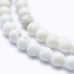 Natural Magnesite Beads Strands&nbsp;TURQ-G148-09-6mm