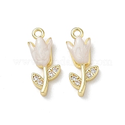 Brass Micro Pave Clear Cubic Zirconia and Enamel Charms&nbsp;KK-A300-22G
