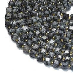 Natural Snowflake Obsidian Beads Strands&nbsp;G-K389-A28-01