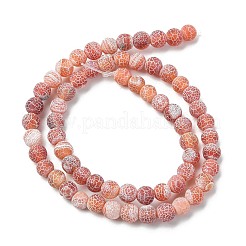 Natural Weathered Agate Beads Strands&nbsp;G-L534-08-6mm
