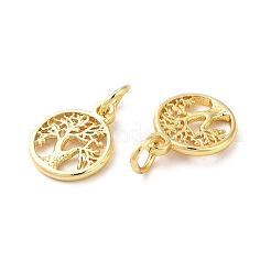 Brass Charms&nbsp;KK-Q403-01G