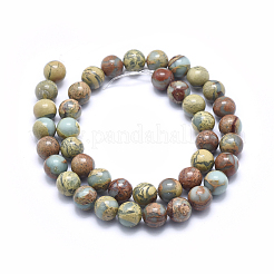 Natural Aqua Terra Jasper Beads Strands&nbsp;G-N0128-48-10mm