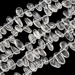 Natural Quartz Crystal Beads Strands&nbsp;G-P604-A22-01