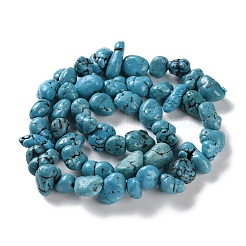 Synthetic Turquoise Beads Strands&nbsp;G-C161-B01-01