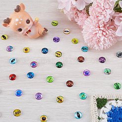 1 Bag Glass Doll Eyes Cabochons&nbsp;DIY-GF0008-70C
