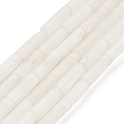 Natural Selenite Beads Strands&nbsp;G-K336-01