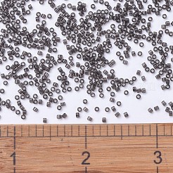 MIYUKI Delica Beads&nbsp;SEED-JP0008-DB1319
