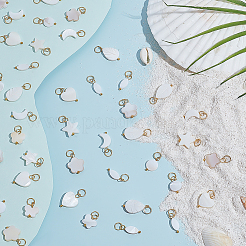 80Pcs 8 Styles Natural Freshwater Shell Pendants&nbsp;PALLOY-ME00032